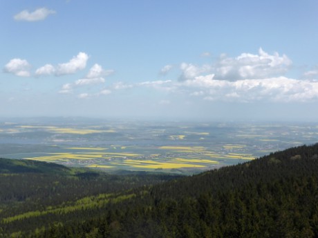 Pohled z rozhledny na Borůvkové hoře
