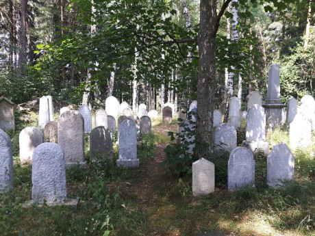  Židovský hřbitov v Dřevíkově