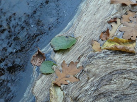 Barevné listy na přírodní pěně v řece