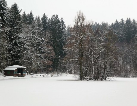 Ivanské jezero v přírodním parku Les Včelný