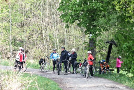 Cyklisté u rybníka Trhoňka