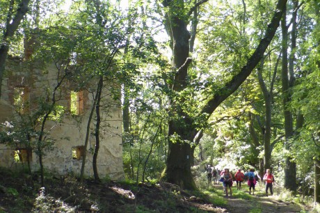 Cesta přes zaniklou vesnici Vitín do Malého Března