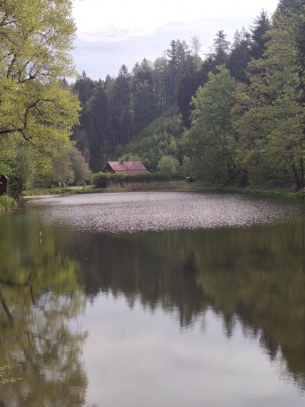 Pohled z hráze na rybník u chatové osady