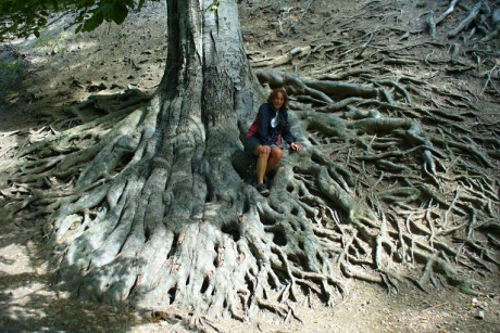  Mezi obnaženými kořeny stromů