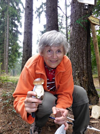 Naučná stezka Lesná - v ráji houbařů