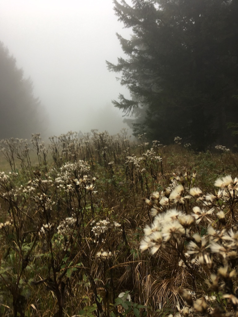 02. Sobotní atmosféra II