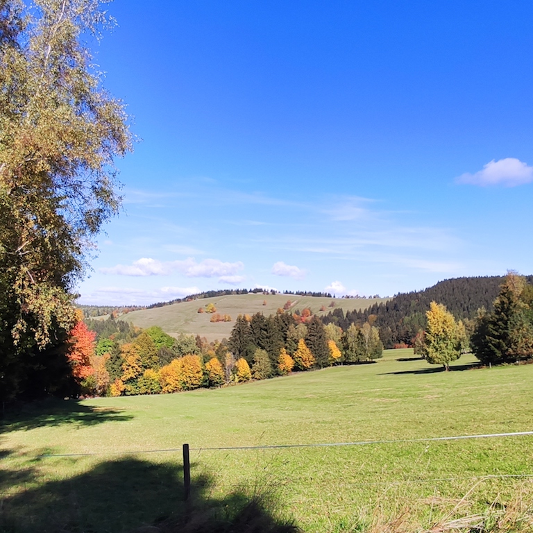 26 Do Olešnice IV