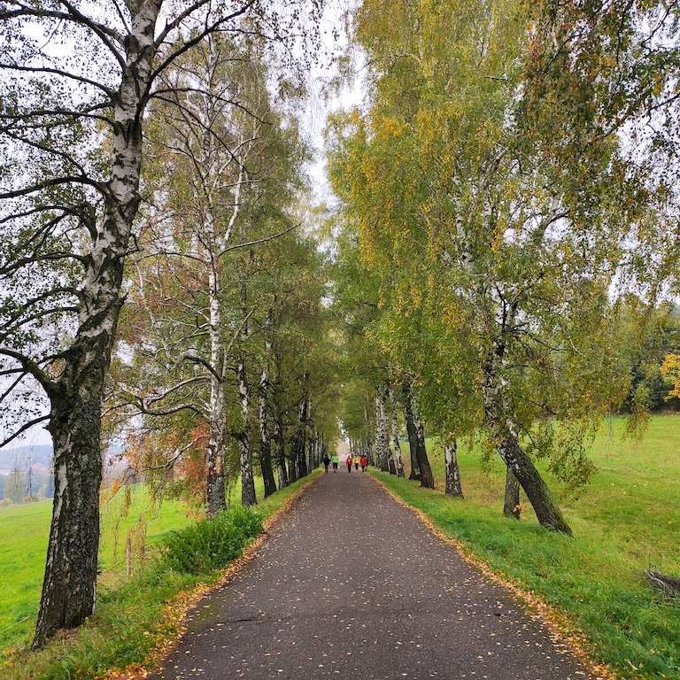 26 Do Bysterských Dolů