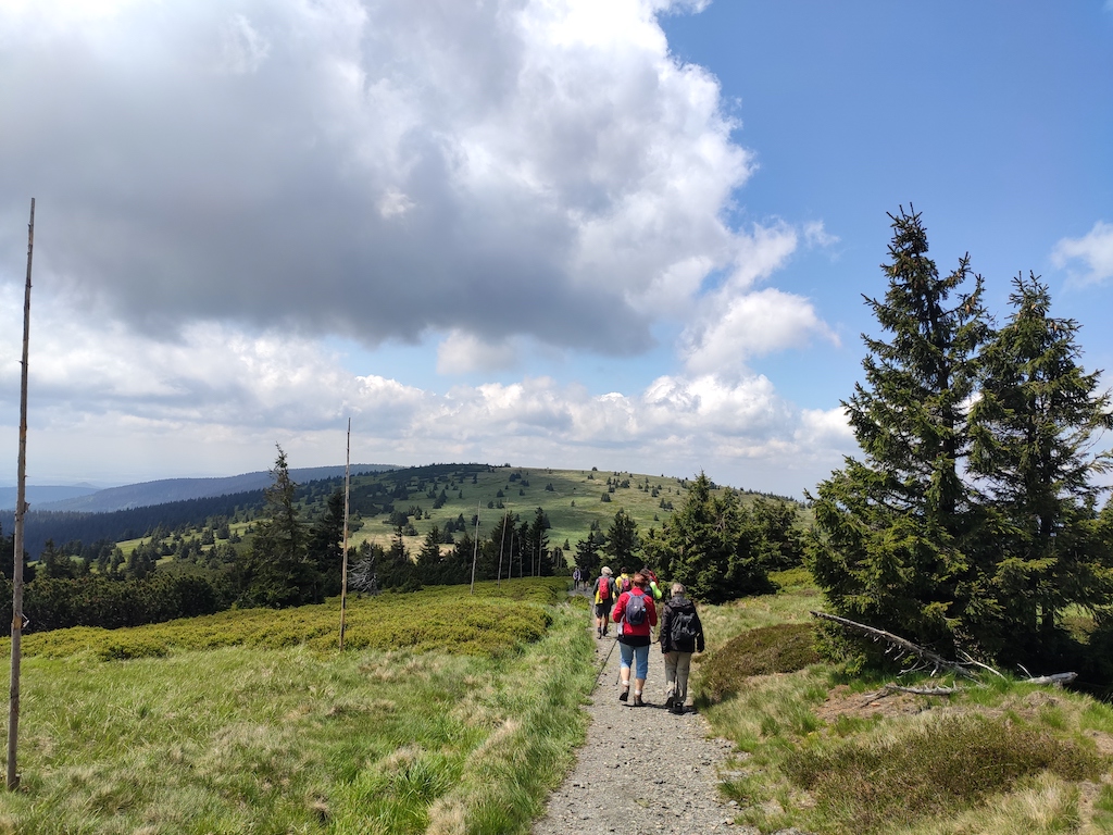 31 NS Po hřebenech – světem horských luk II
