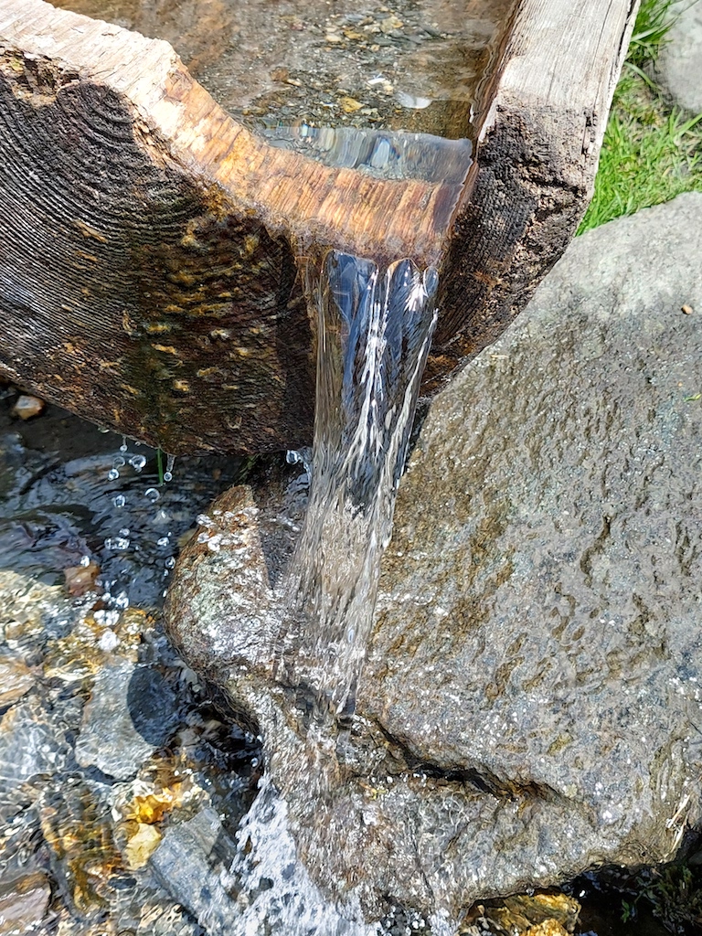 37 Jelení studánka