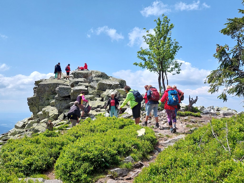 38 Vrchol hory Pecný (1330 m)