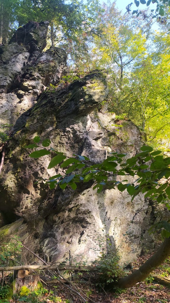 05
