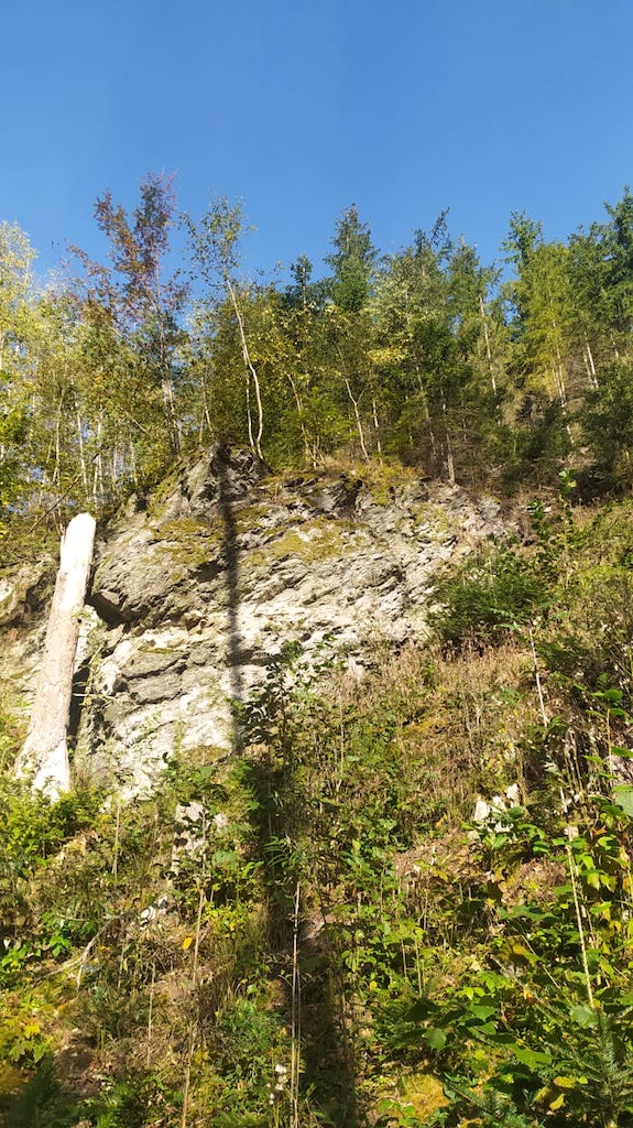 06