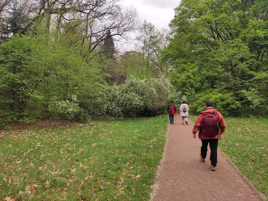 24 Arboretum Vysoké Chvojno
