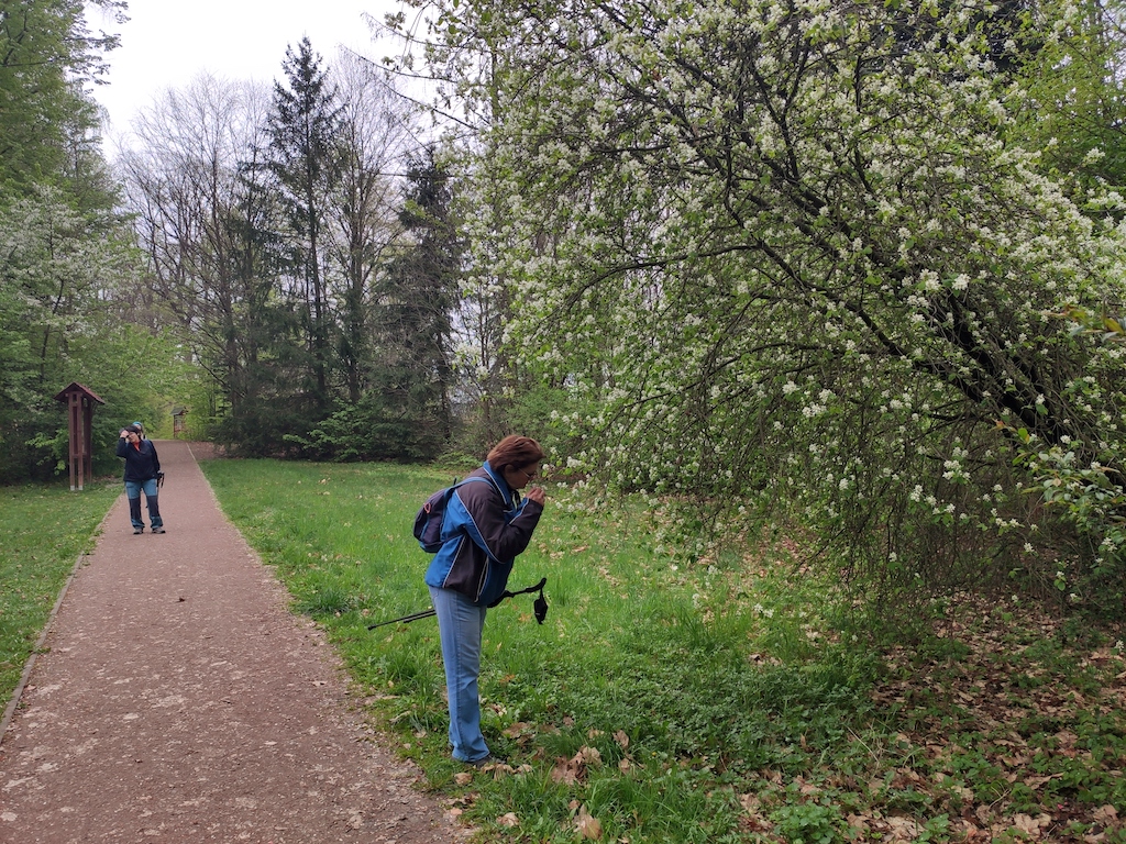 28 Arboretum Vysoké Chvojno