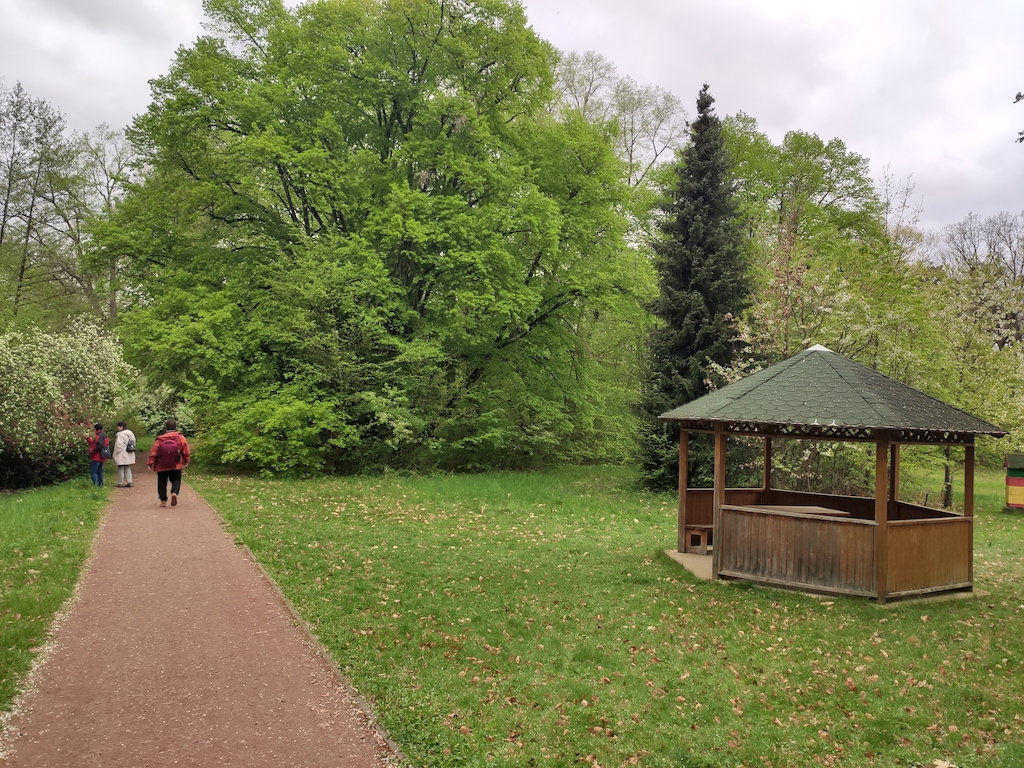 25 Arboretum Vysoké Chvojno