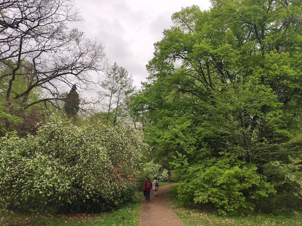 26 Arboretum Vysoké Chvojno