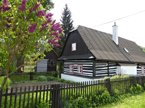 Chaloupka v blízkosti Slatiny nad Zdobnicí