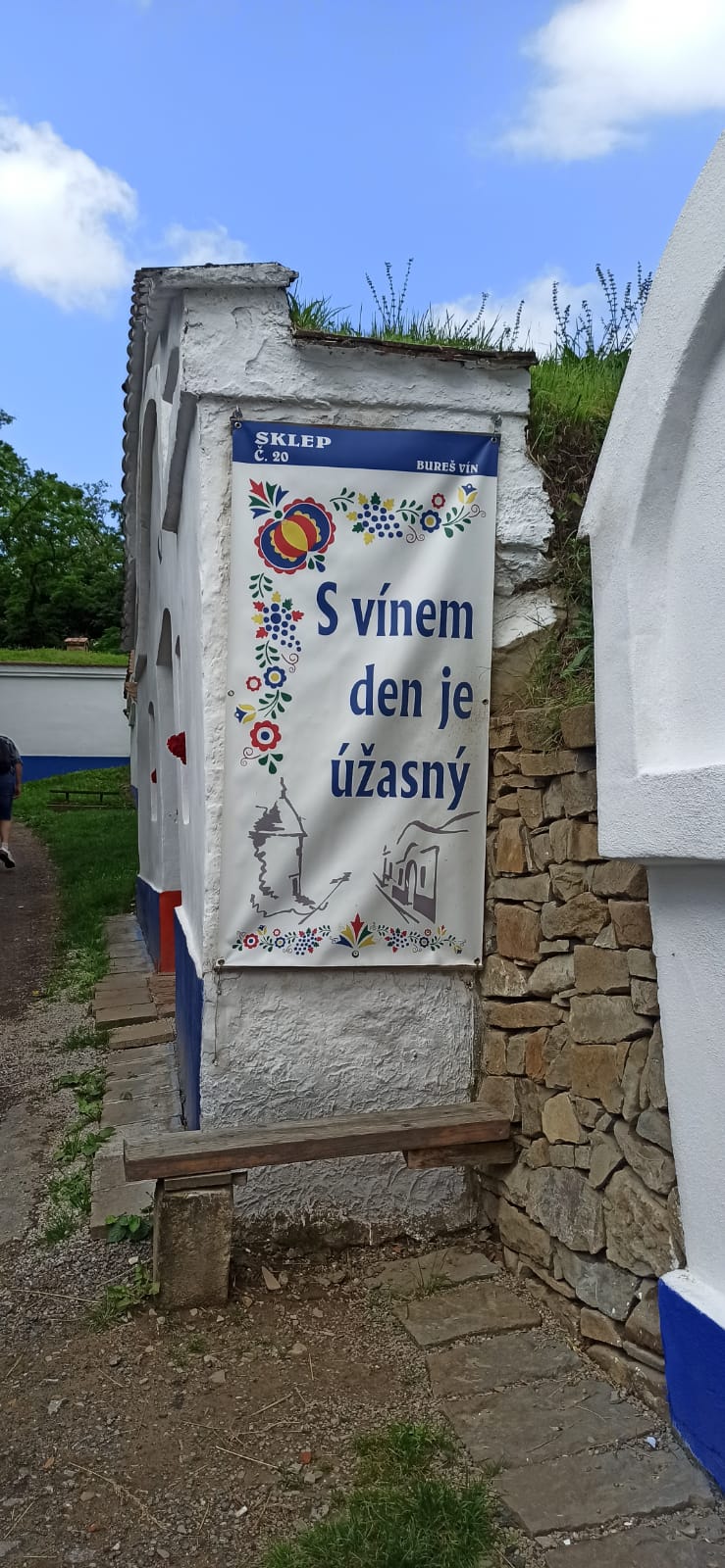 29b Petrov, vinné sklepy Plže