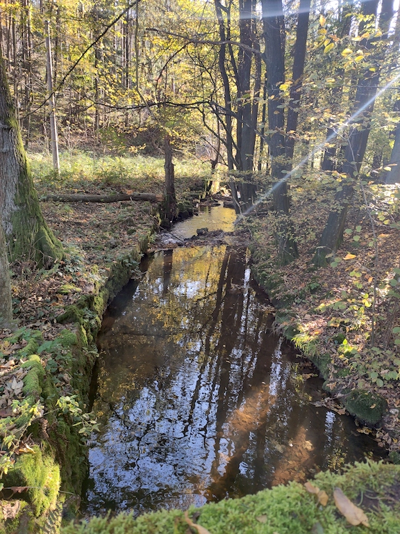 08