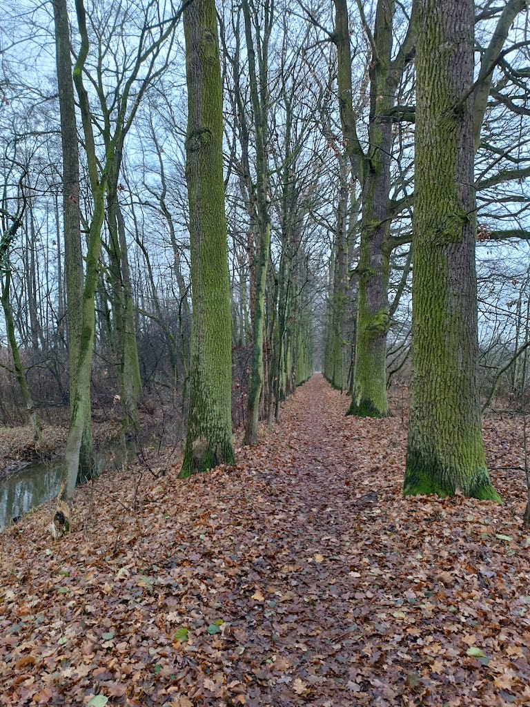 06