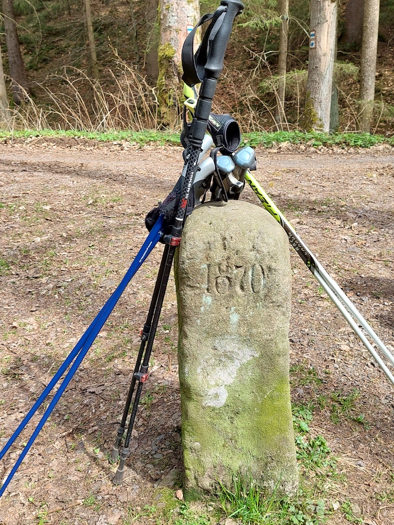 26