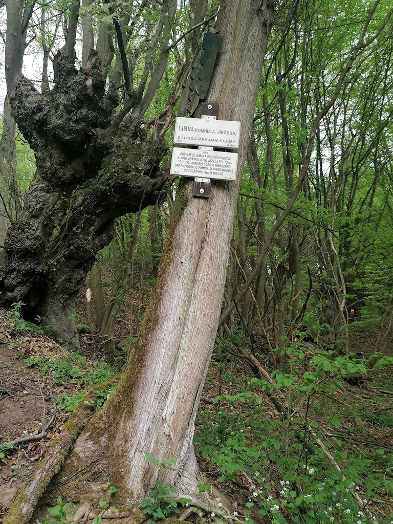 11a