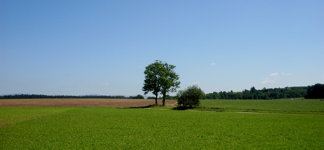 Šerlich - Neratov 2010 - Cestou do Mladkova 