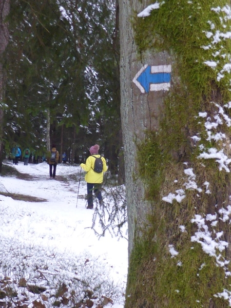 Po modré turistické značce míříme do Holic