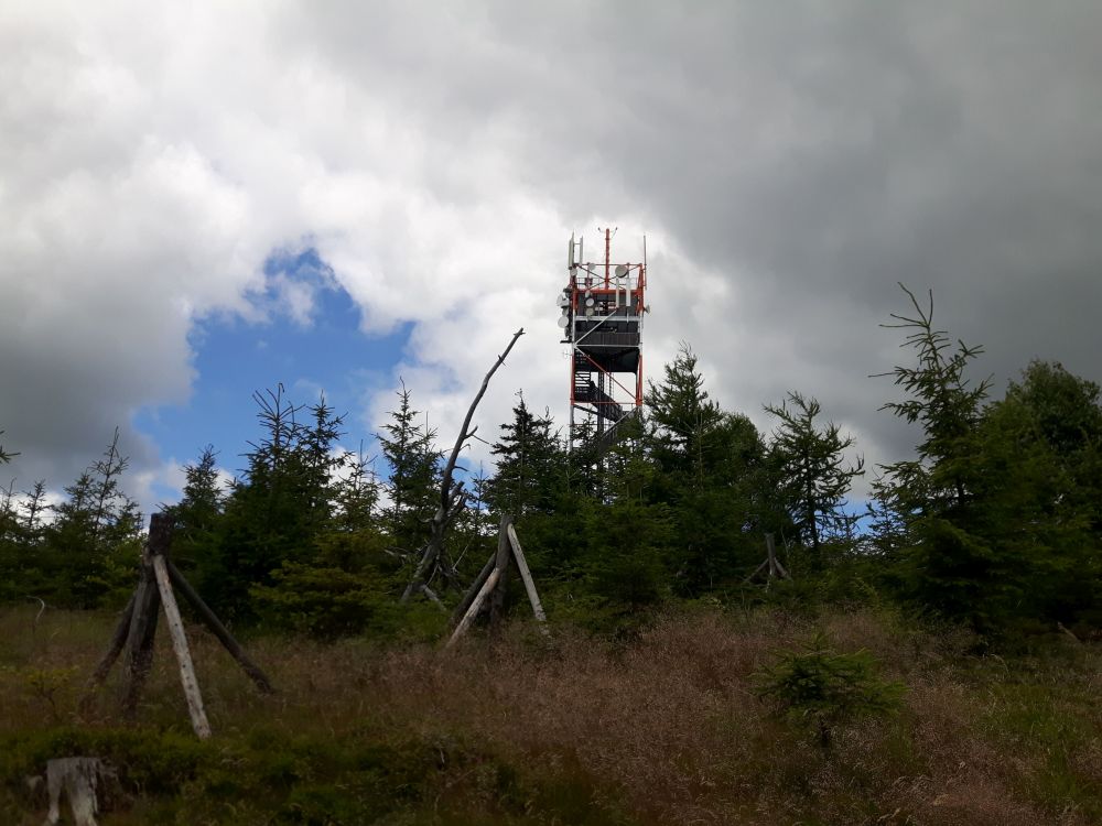 Ruprechtický špičák, 881 m