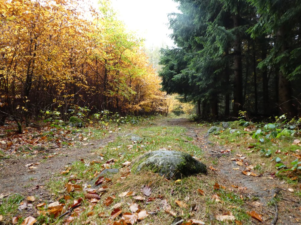 Cesta na vrch Tábor