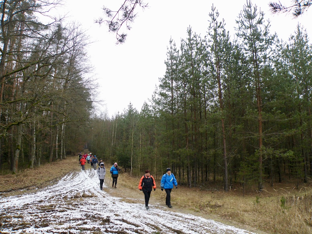 Konečně trochu sněhu