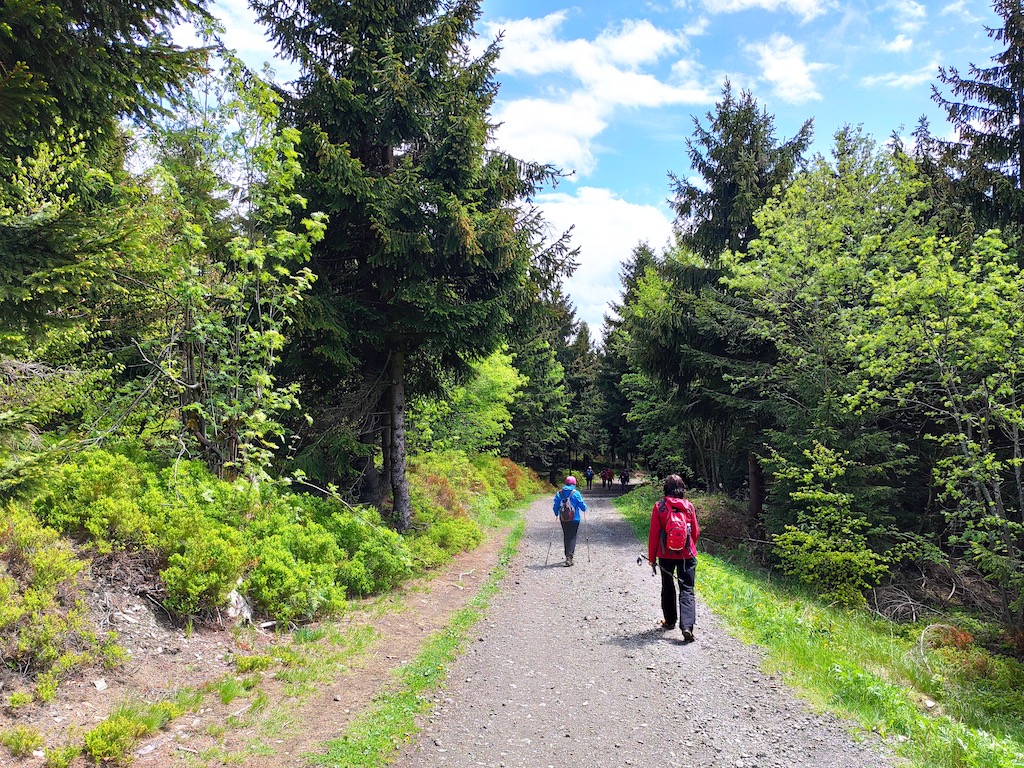 Po cyklostezce Hřebenovce