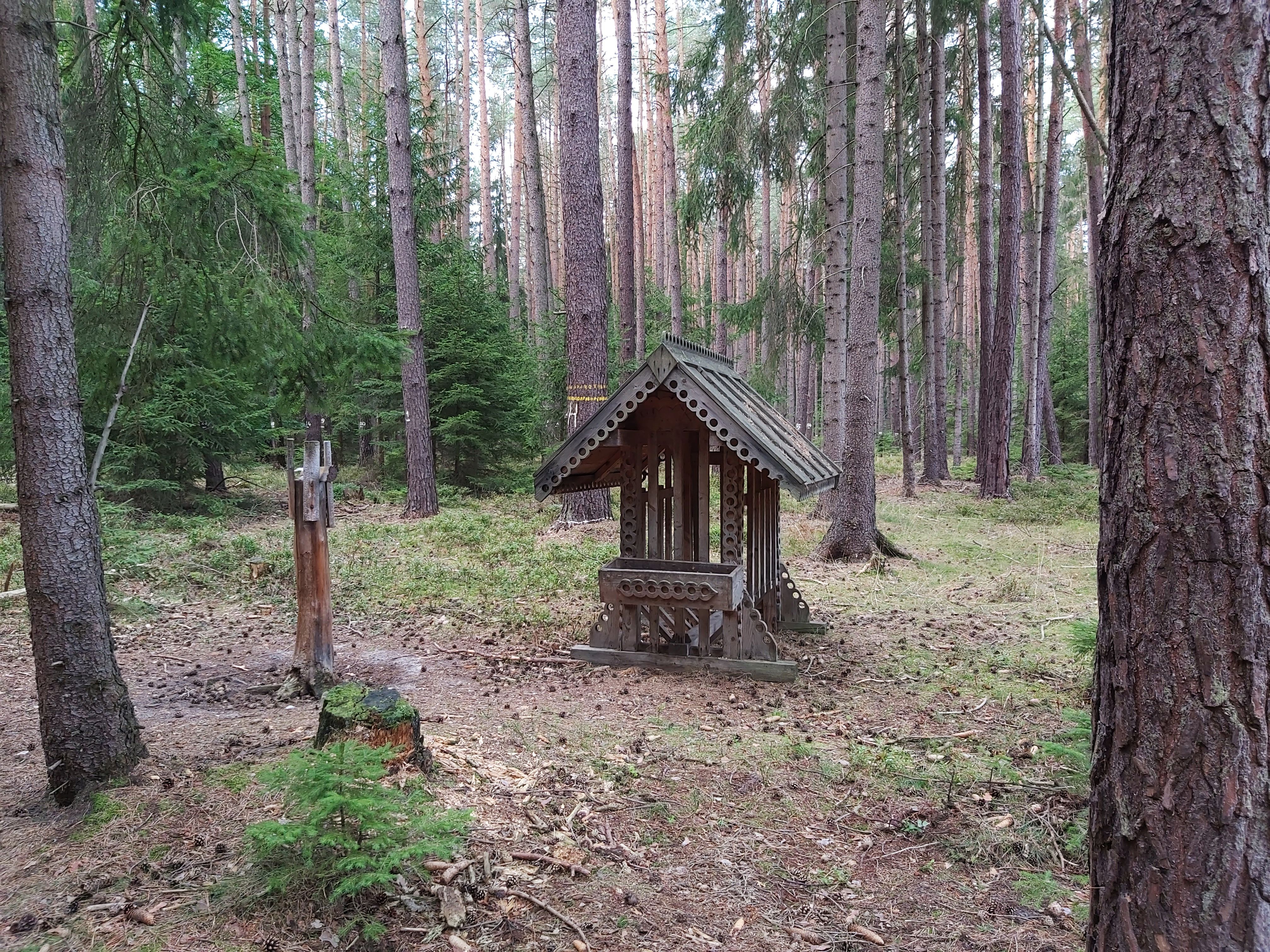 07  I krmelec může být uměleckým dílem ;-)