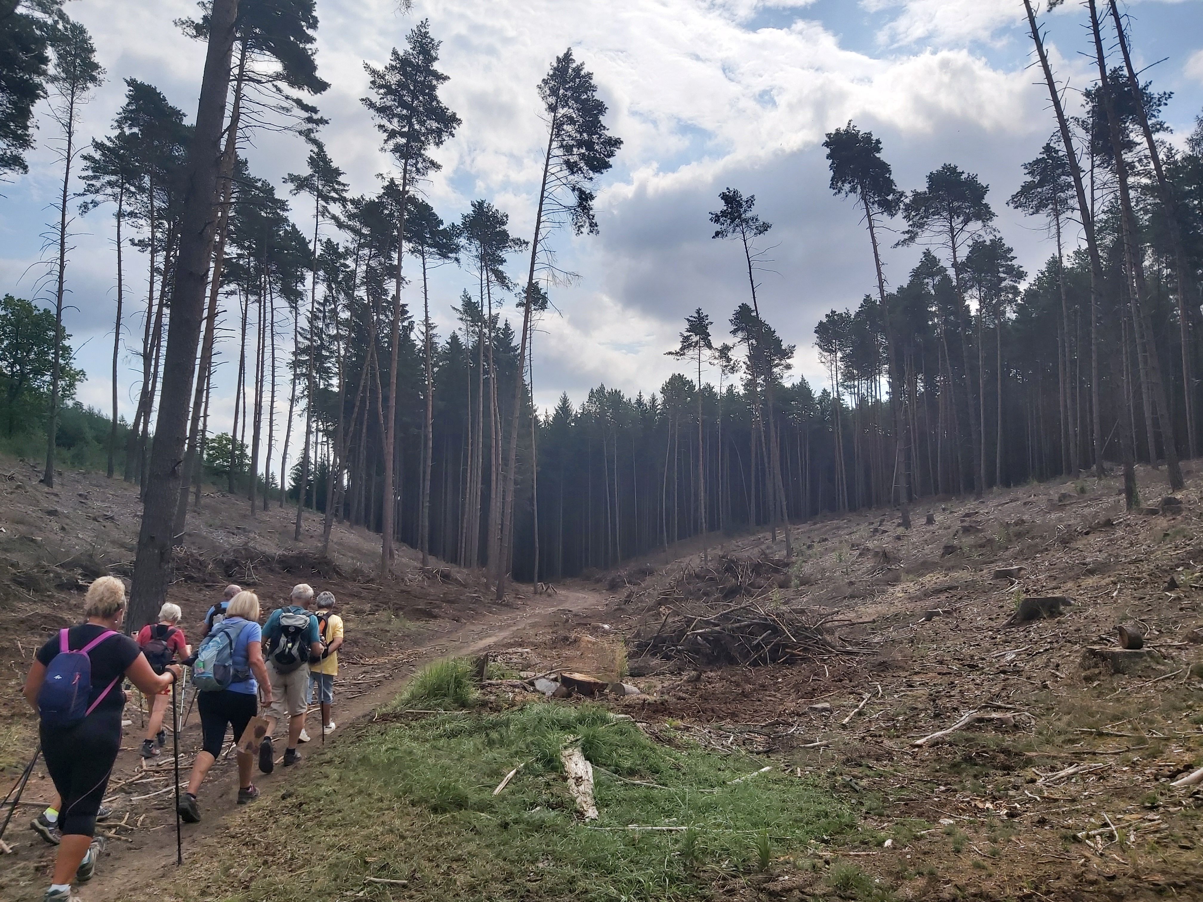 15  Po naučné stezce Březinské studánky