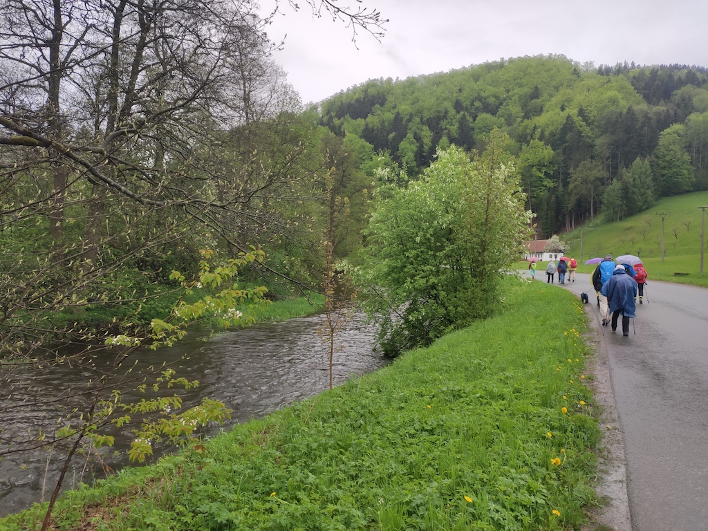 29 Podél Divoké Orlice do Litice n. Orl.