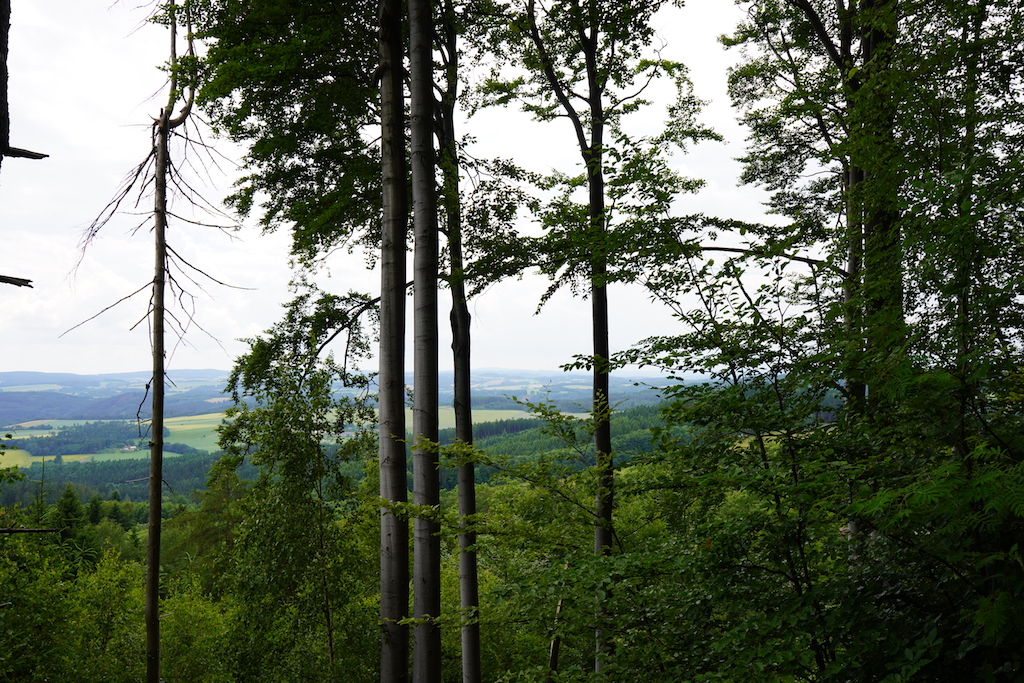 06 K Žaltmanu I