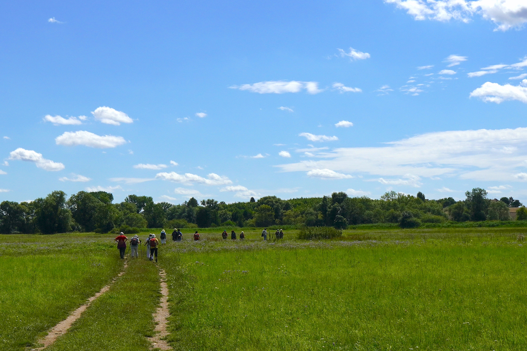 30 – Ptačí park Josefovské louky XI.