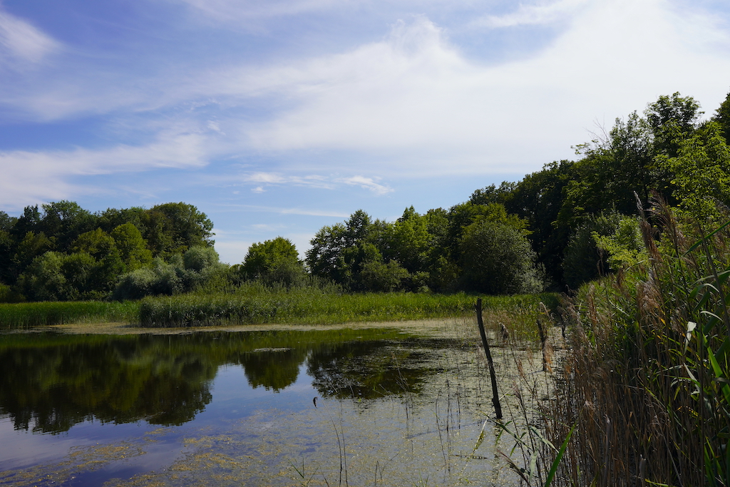 3 – Rybník Jáma III.