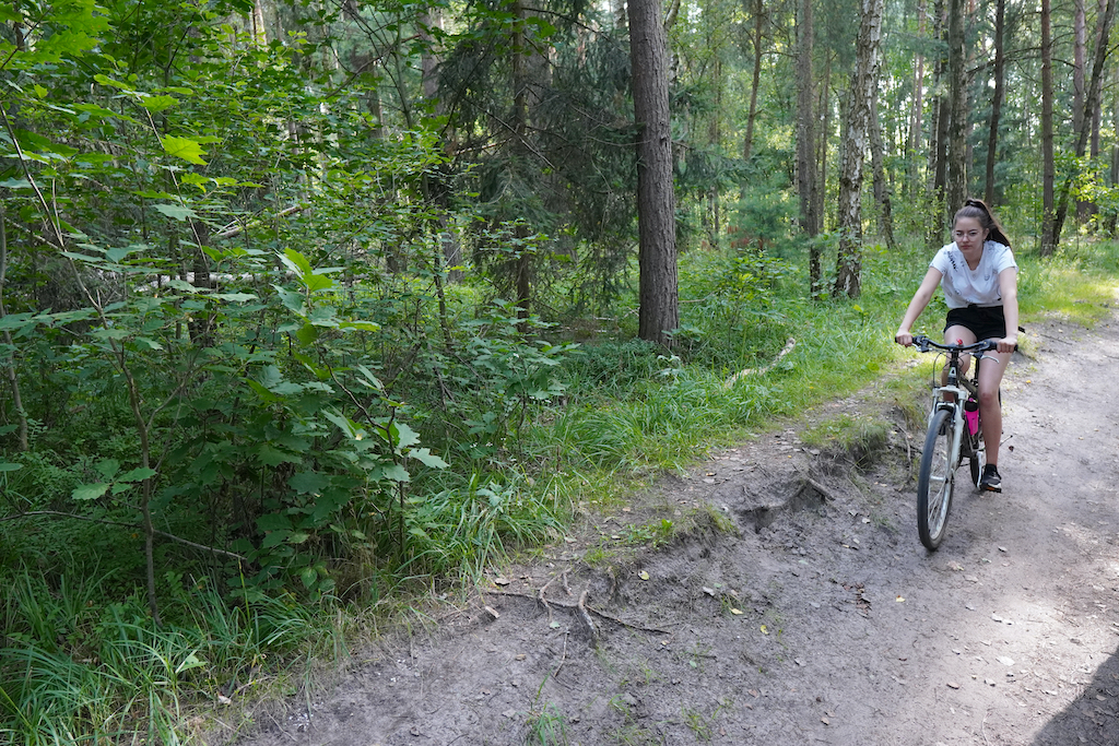 17 – Sport v lese III.