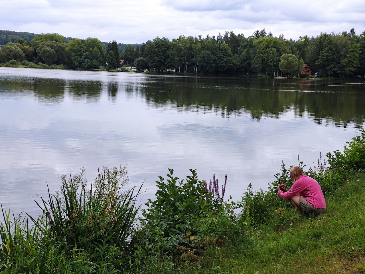 17  Rybník Horní Peklo v Pekle u Kraskova I