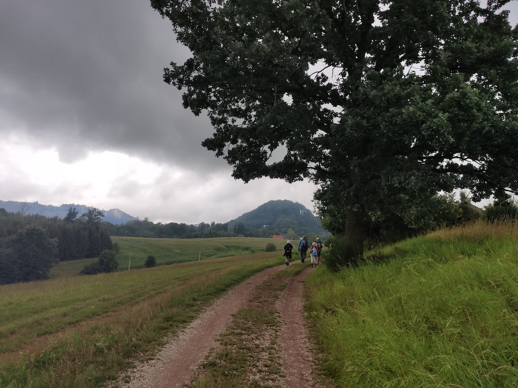 17 Vrch Žampach (546 m. n. m.) před námi