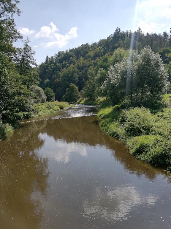 12 Řeka Chvojnice I