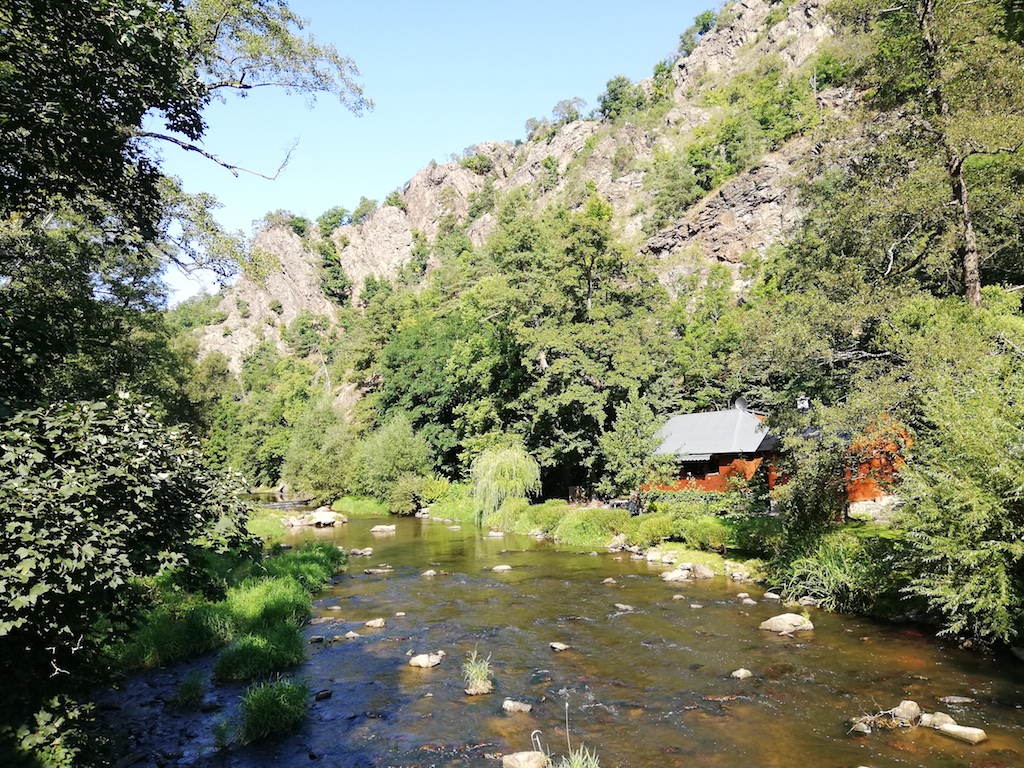 13 Řeka Chvojnice II