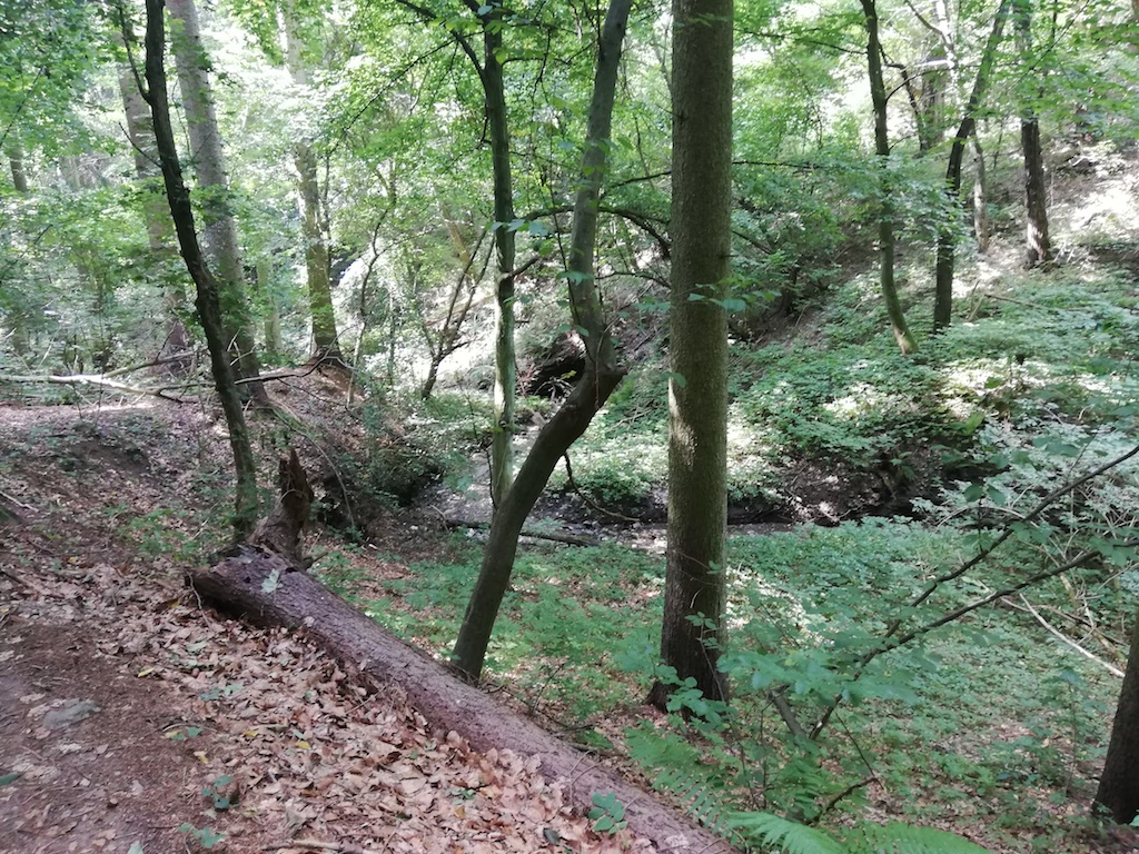 16 Divoké údolí Čučického potoka