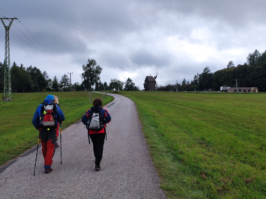 21 Borovnice – k větrnému mlýnu