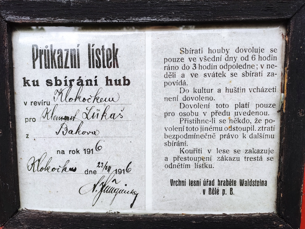 25 Železniční muzeum Sudoměř XI