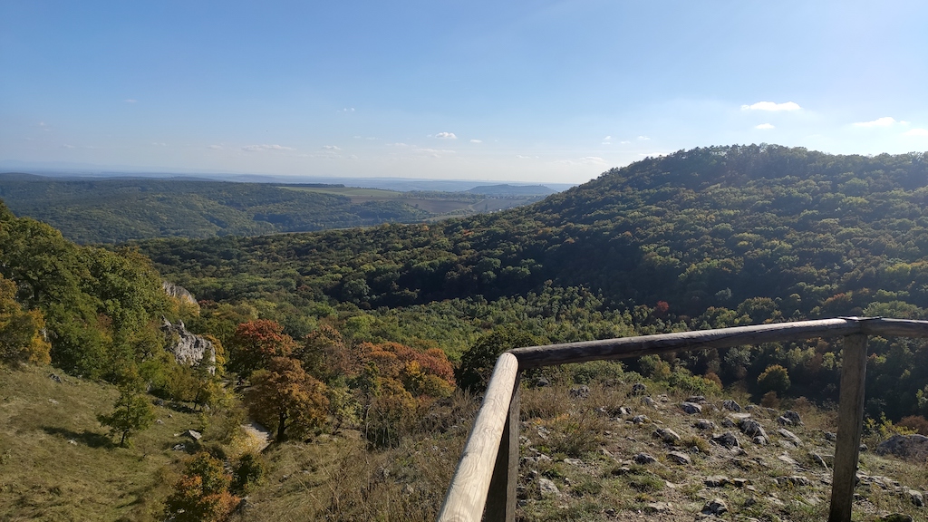 34 I zalesněná krajina je na Pálavě