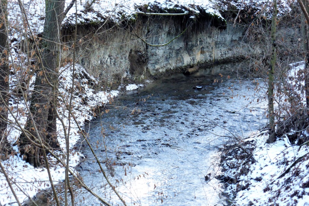 12 Meandry Struhy – přírodní památka II