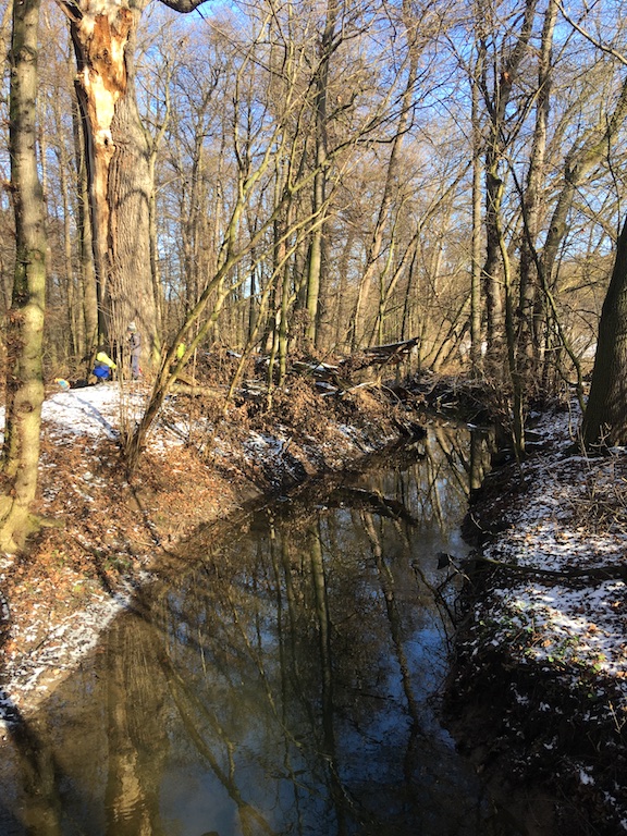 12a Meandry Struhy – přírodní památka III